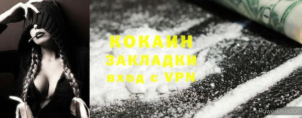 стафф Аркадак