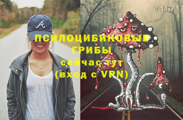 ALPHA PVP Армянск