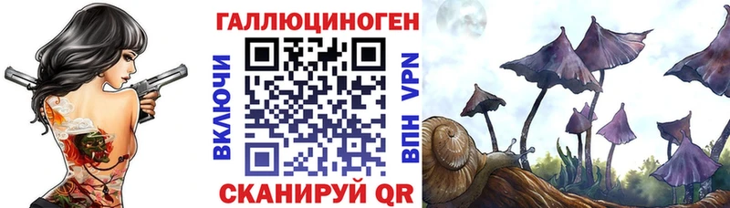 купить наркотики цена  Светлоград  Псилоцибиновые грибы GOLDEN TEACHER 