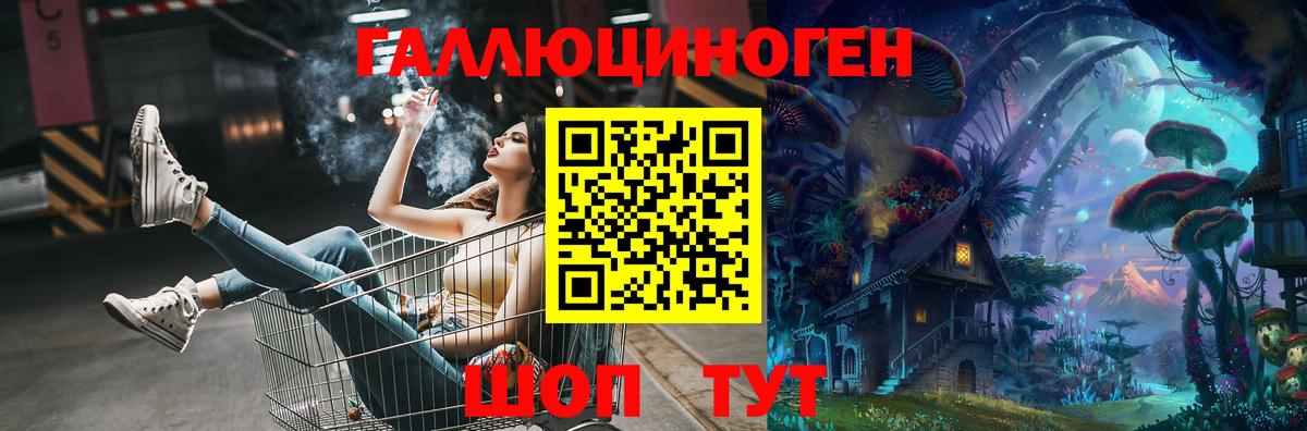 Псилоцибиновые грибы Cubensis Светлоград